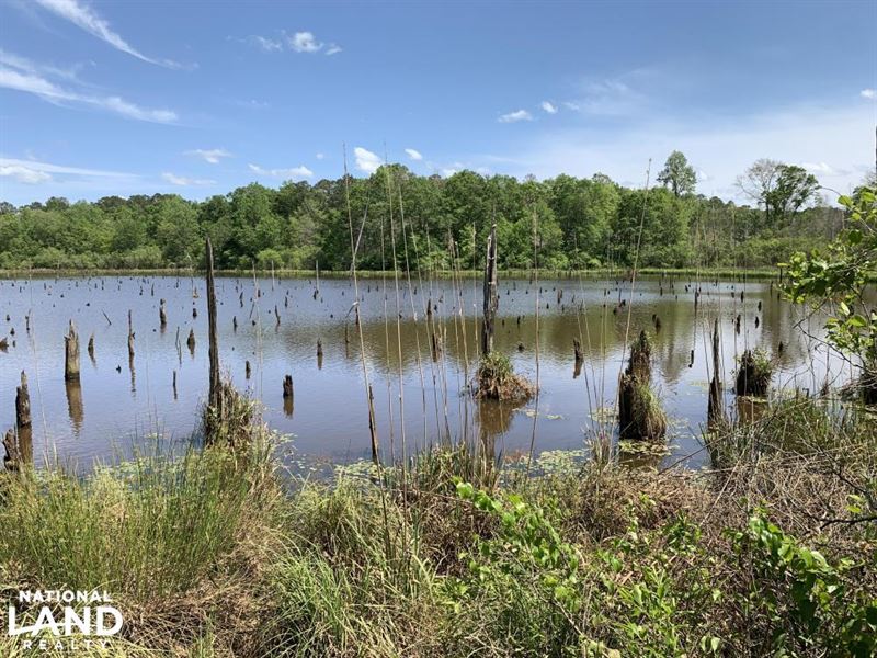 The Graydon Branch Pond Honoraville : Honoraville : Butler County : Alabama