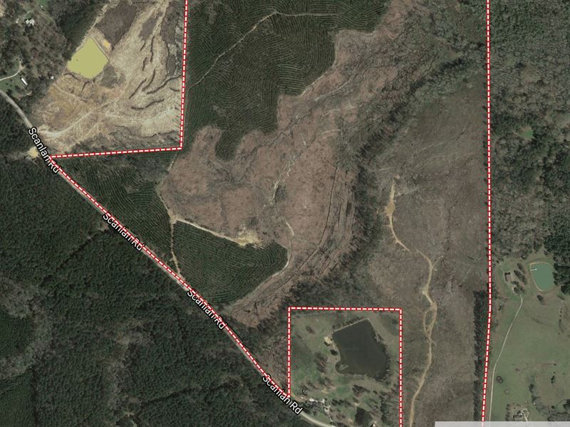 Gum Pond Branch : Decatur : Newton County : Mississippi