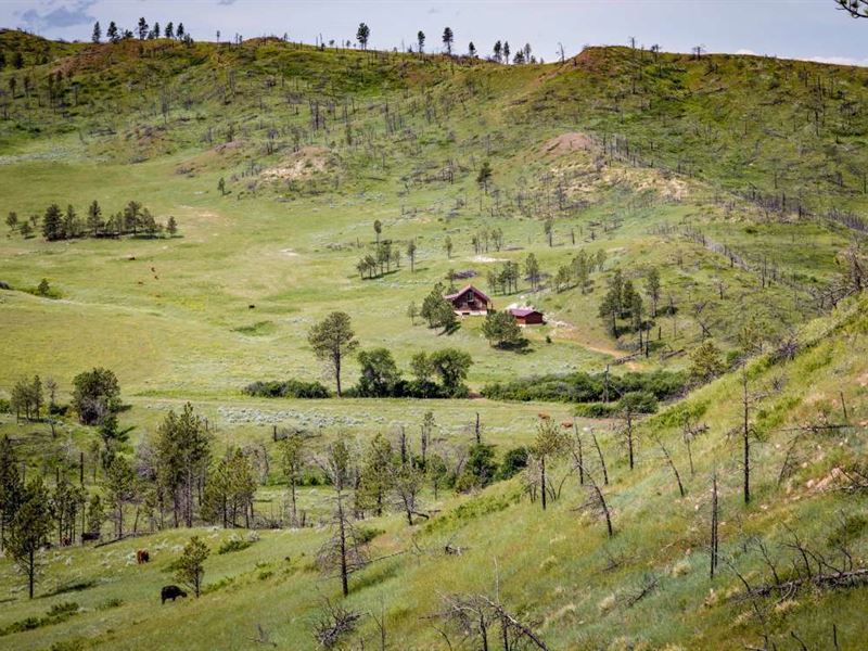 Tongue River Ranch : Miles City : Powder River County : Montana