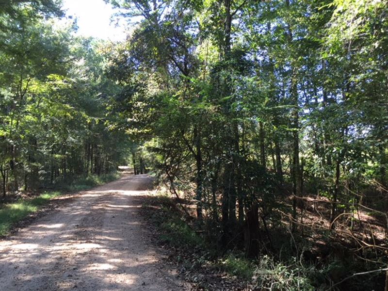 Murray Road Property : Bude : Franklin County : Mississippi