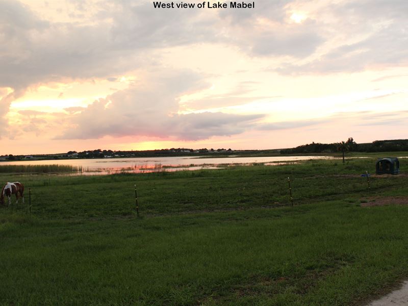 40 Acre Lake Mabel Res Development : Lake Wales : Polk County : Florida
