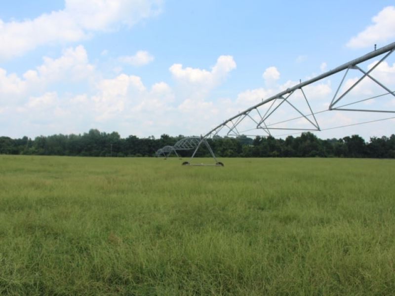 Crawley Farm : Unadilla : Dooly County : Georgia