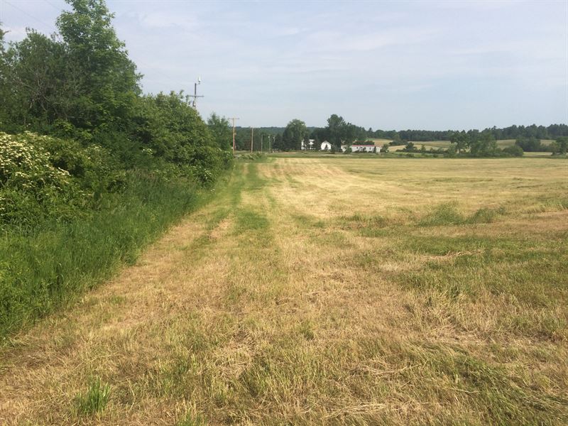 Beautiful, Scenic Farmland for Sale : New Gloucester : Cumberland County : Maine