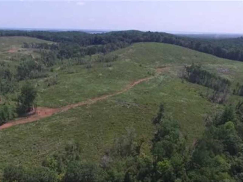 Gorgeous 347 Ac Sabine County Roll : Milam : Sabine County : Texas