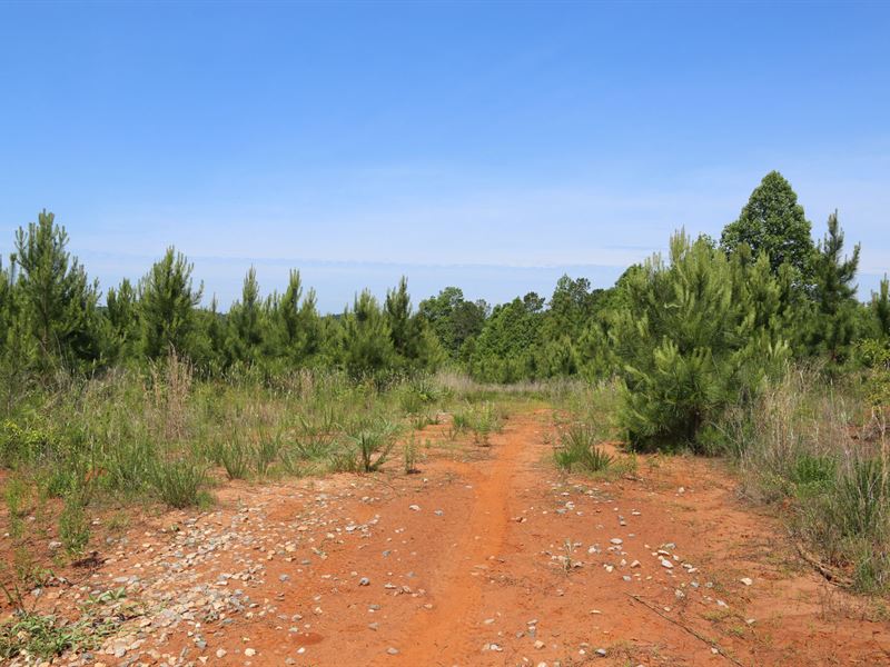 East Perry County Tract : Marion : Perry County : Alabama