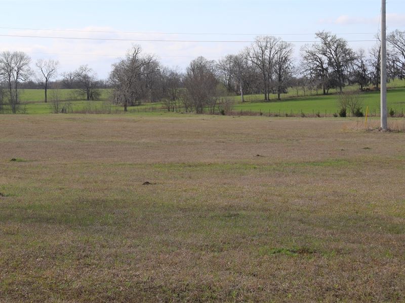 I-65 and Tyson Road Property : Montgomery : Lowndes County : Alabama