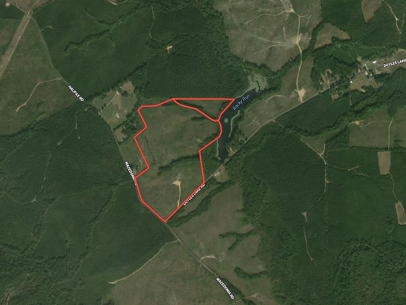 74 Acres of Hunti : Emporia : Greensville County : Virginia