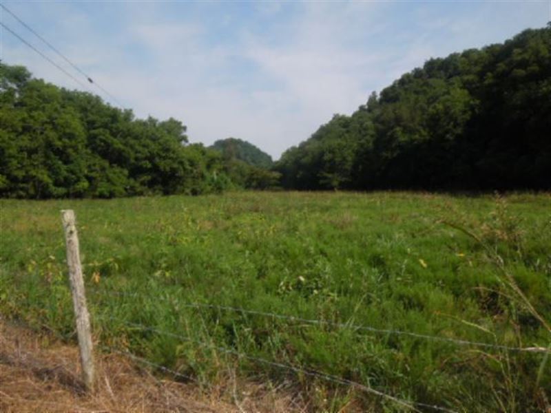 50.74 Acres, Creek, Views, Cabin : Moss : Clay County : Tennessee