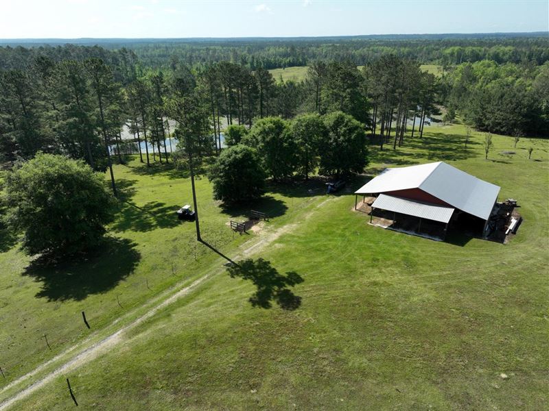 98 Acres in Escambia County : Brewton : Escambia County : Alabama