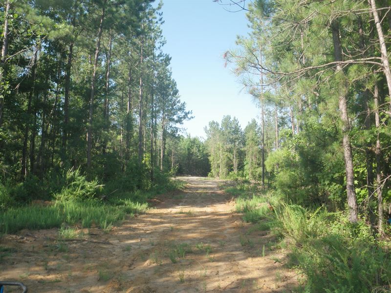 Farmersville Tract : Minter : Lowndes County : Alabama