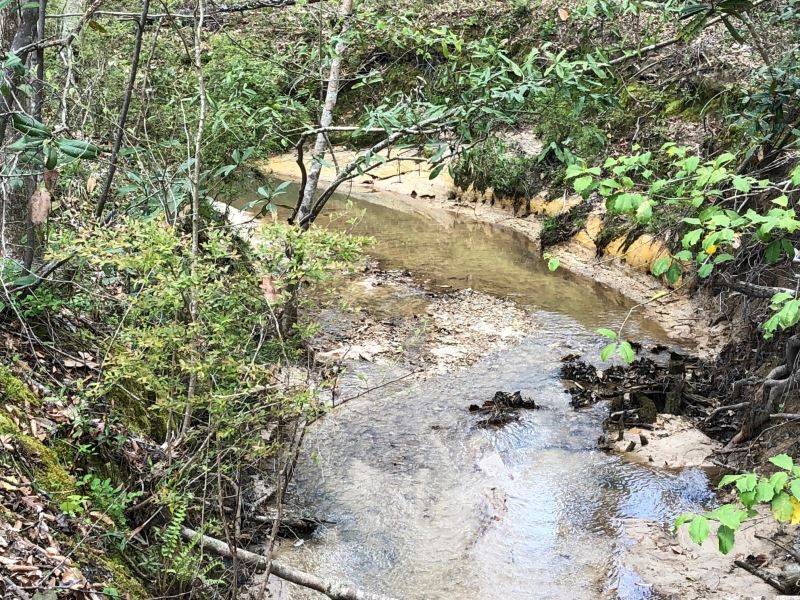 130 Acres / Simpson County / Joe : Harrisville : Simpson County : Mississippi