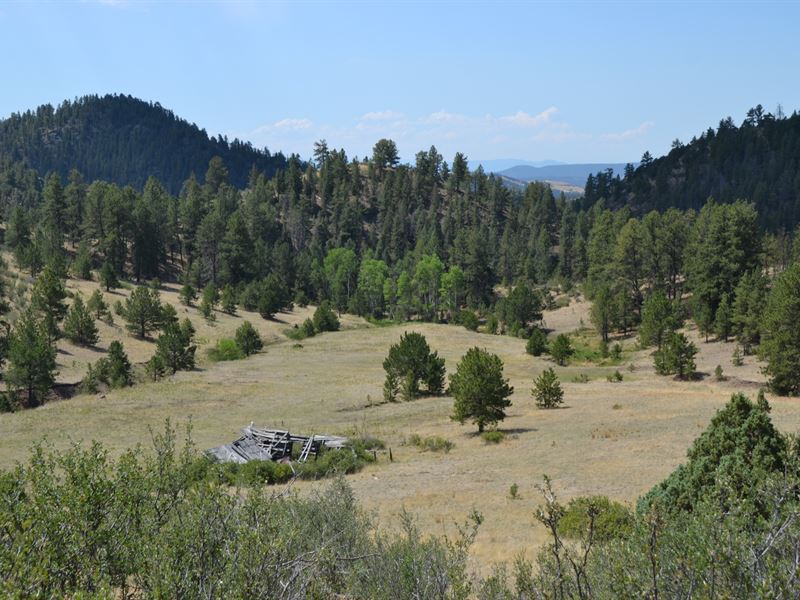 72.65 Acres in Florissant, Colorado : Florissant : Teller County : Colorado