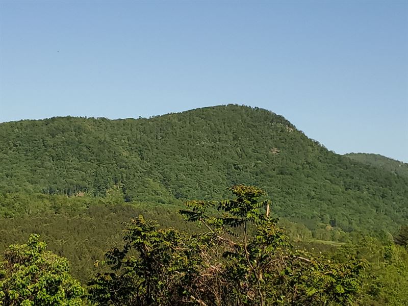 NC Mountain Land : Union Mills : Rutherford County : North Carolina