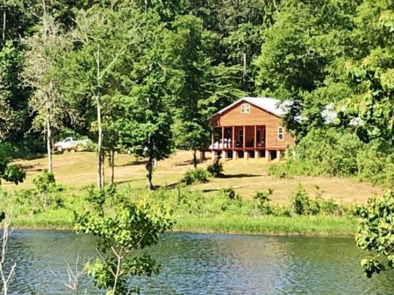 28.69 Acres Cabin On Alford Lake Fo : Osyka : Pike County : Mississippi