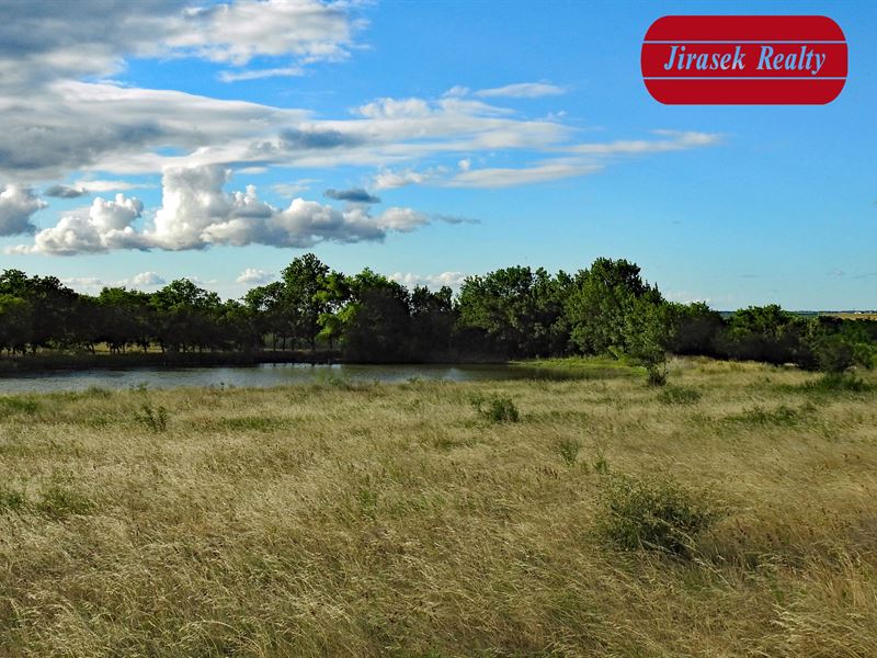 11.12 Acres, Cr 114, Buckholts Isd, Ranch for Sale in Texas, 156893