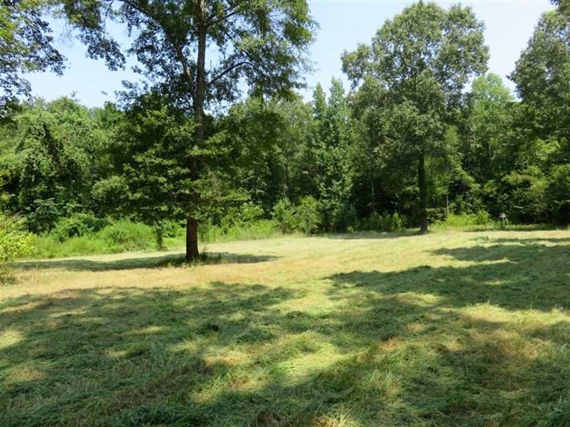 130 Acres of Fine Hunting Land : Woodville : Wilkinson County : Mississippi