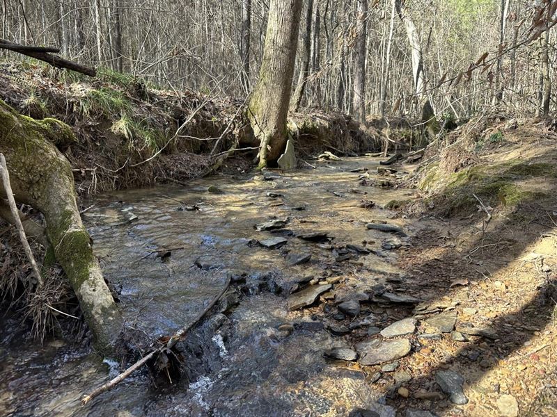 Winston County 80 : Logan : Winston County : Alabama