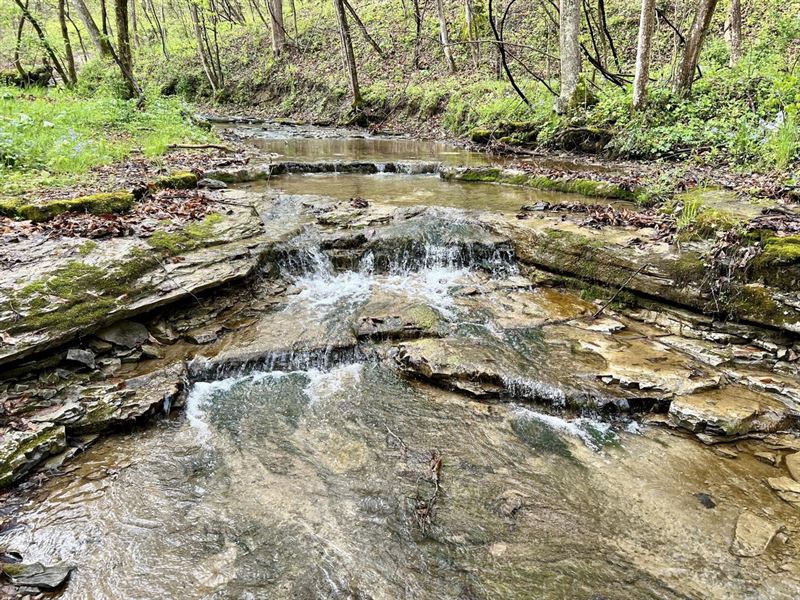 Narrows Rd, Fayette County, 244 ac : East Millsboro : Fayette County : Pennsylvania