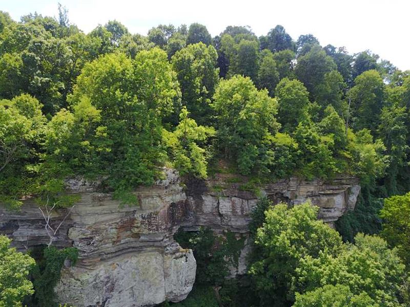 124.7 Acres of Recreational Ti : Marshall : Searcy County : Arkansas