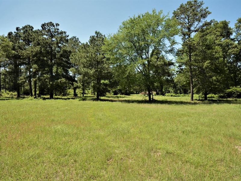 32.733 Acre Anderson Co, High Fenc : Tennessee Colony : Anderson County : Texas