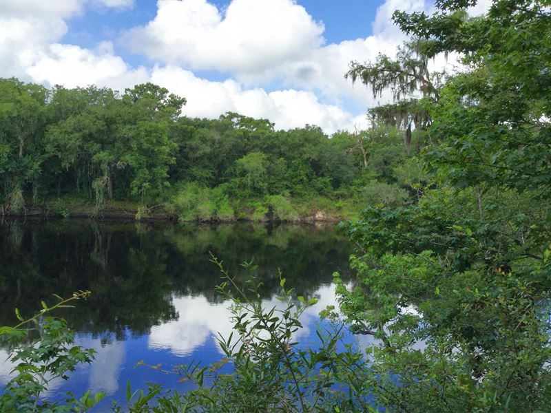 119+ Acres with River Frontage : Live Oak : Suwannee County : Florida