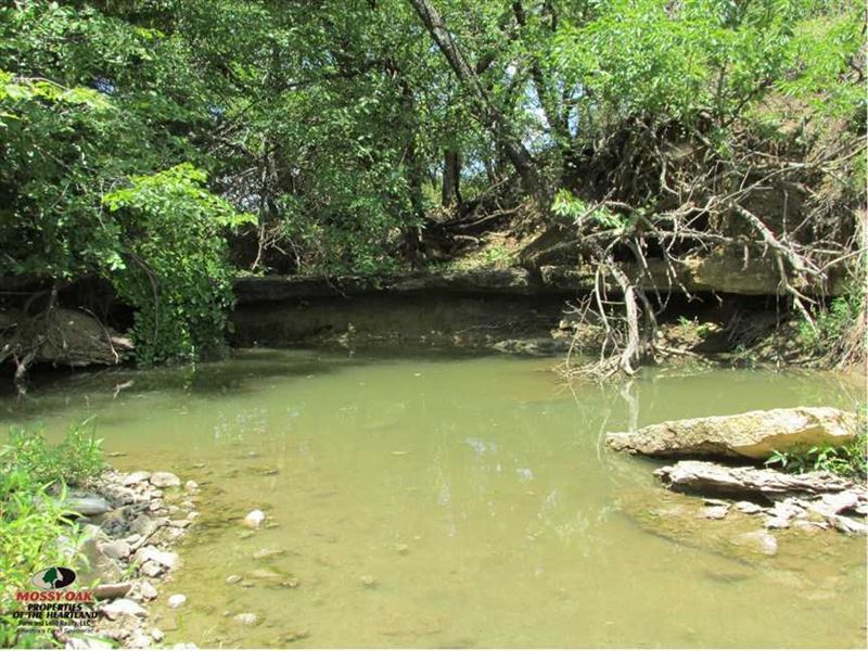 Cowley 154 : Cedar Vale : Cowley County : Kansas
