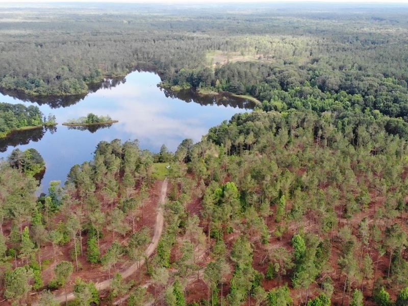 2,253 Acres Jefferson County : Union Church : Jefferson County : Mississippi