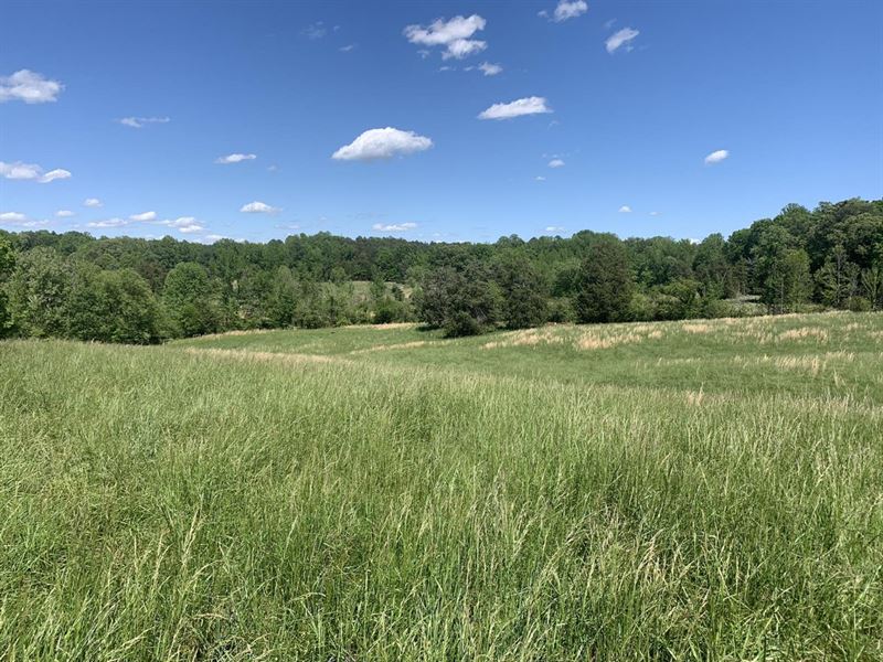 45.93 Acres Off Frank Hulin Road : Lexington : Davidson County : North Carolina