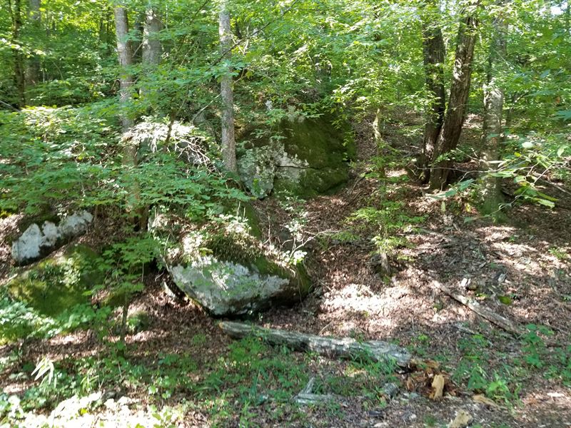 Bounded On North By Oconee River : Watkinsville : Oconee County : Georgia
