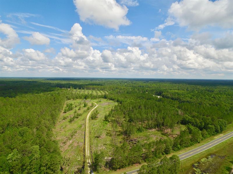 46+ Acres On Elim Church Rd : Hinesville : Long County : Georgia