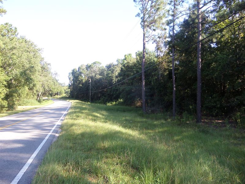 40 Acres Available, Tank Rd Comm : Jesup : Wayne County : Georgia