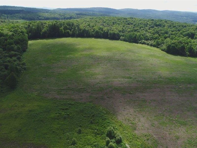 Abandoned Farm, Abuts State Land : Worcester : Otsego County : New York
