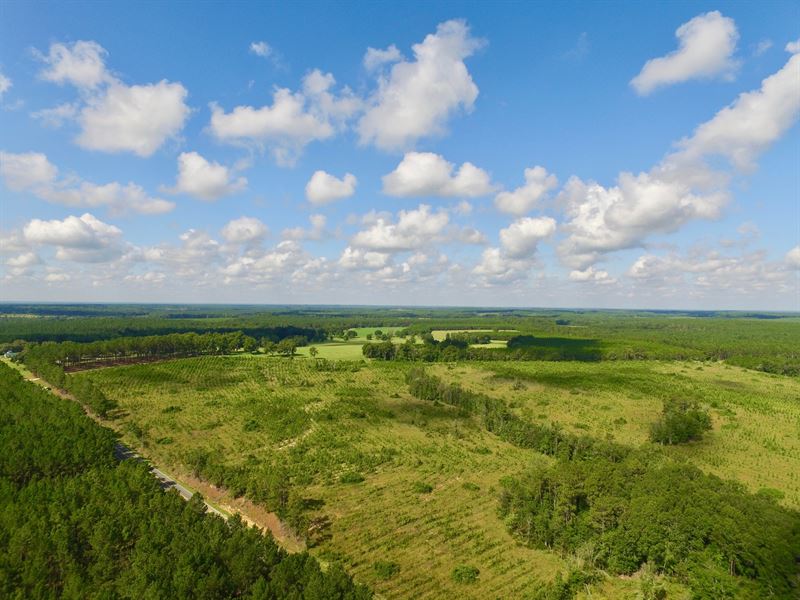 98 Acres Horse Creek Rd : McRae-Helena : Telfair County : Georgia