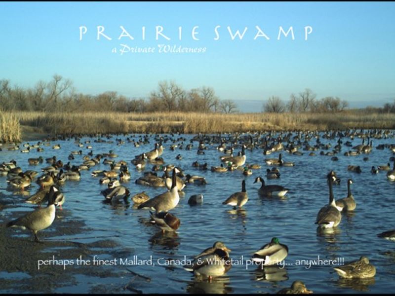 Prairie Swamp : Lewellen : Garden County : Nebraska