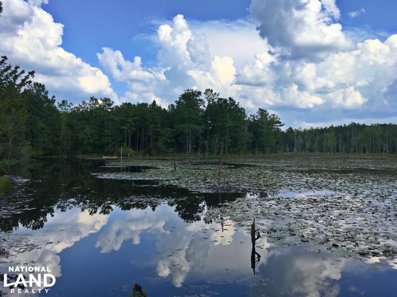 Spring Branch Lake Hunting And Timb Ranch for Sale in Citronelle