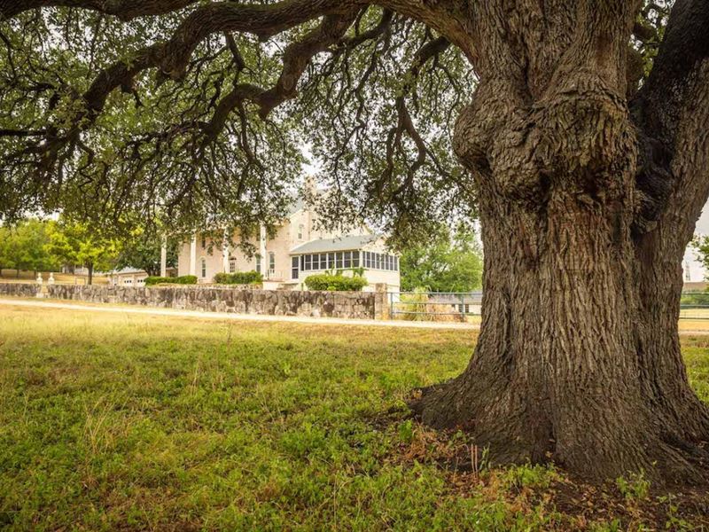 The Ranch at Squaw Valley : Glen Rose : Somervell County : Texas