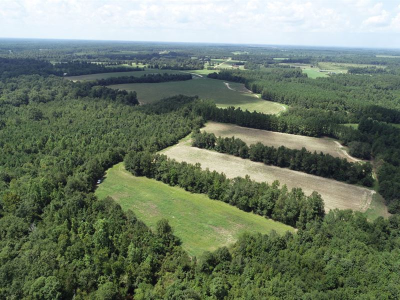 164 Acres Cultivated, Wooded, Creek : Waynesboro : Burke County : Georgia