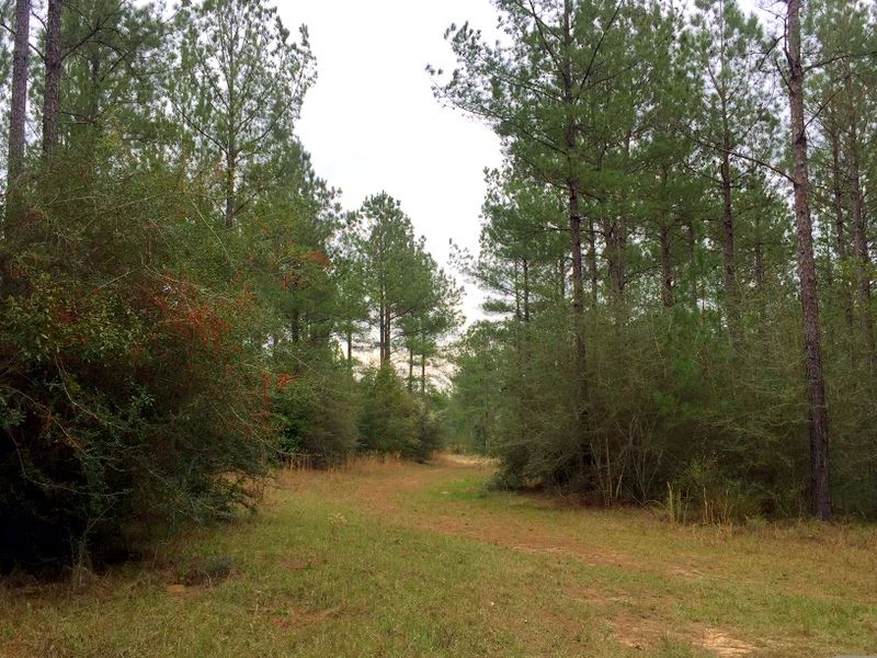 1.4 Miles Perdido River/State Line : Bay Minette : Baldwin County : Alabama