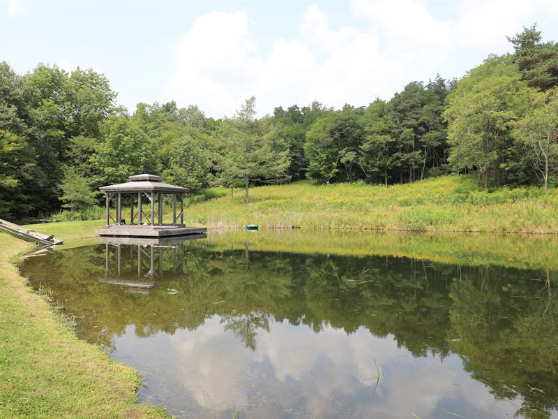 Multi-Use Site with Private Pond : Deruyter : Madison County : New York