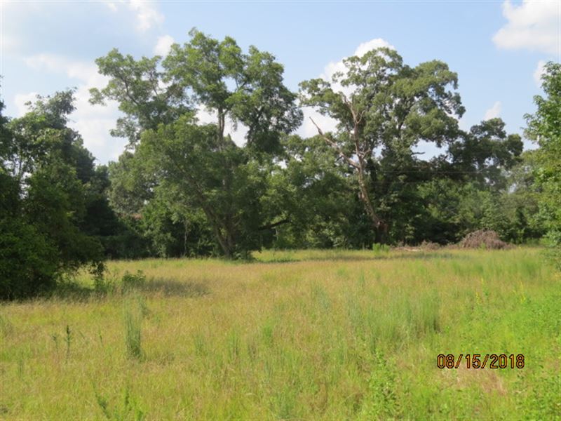 Hunting Property & Camp House : Franklin : Macon County : Alabama
