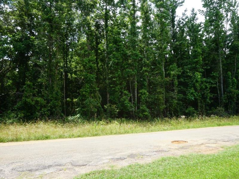Akron Hunting Future Development : Akron : Hale County : Alabama