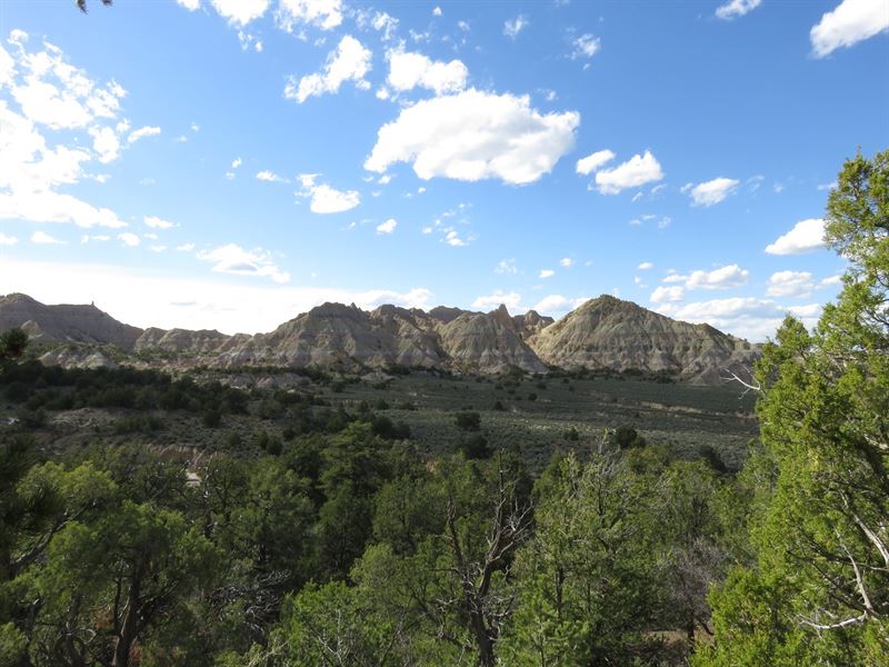 Ranch Home Northern NM Land Acreage Ranch for Sale in Regina, Rio