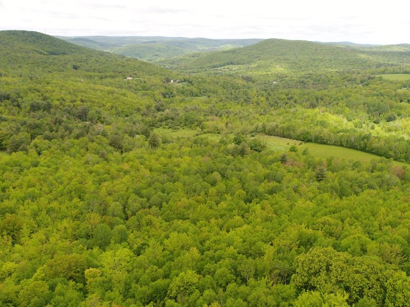 Getaway Property Near Berkshires : Petersburgh : Rensselaer County : New York