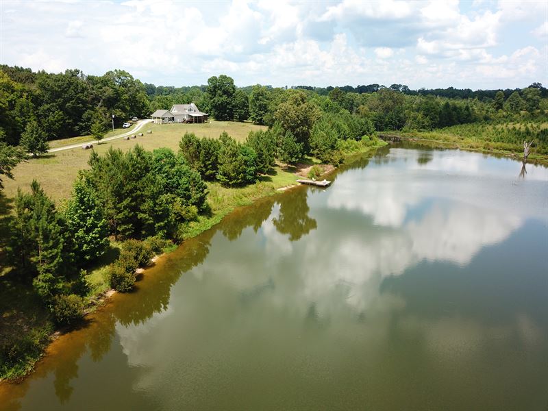 The Grove : Livingston : Sumter County : Alabama