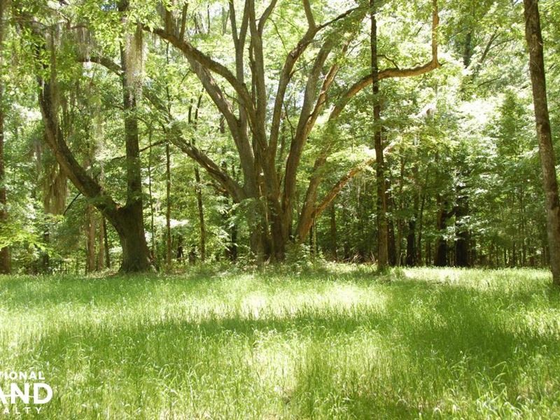 Arondale and Wildwood Plantations : Weyanoke : West Feliciana Parish : Louisiana