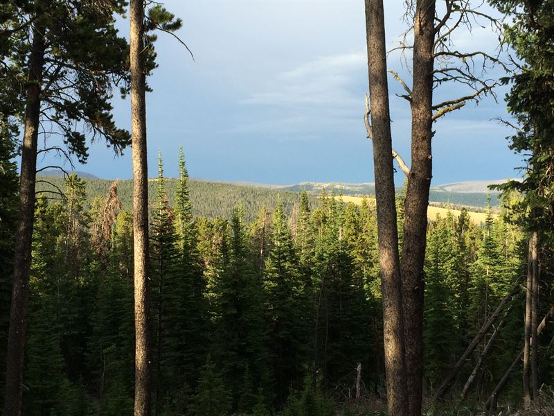 Kings Hill Cabin : Neihart : Judith Basin County : Montana