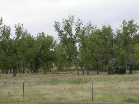 Eastern Colorado Cattle Ranch : Hugo : Lincoln County : Colorado