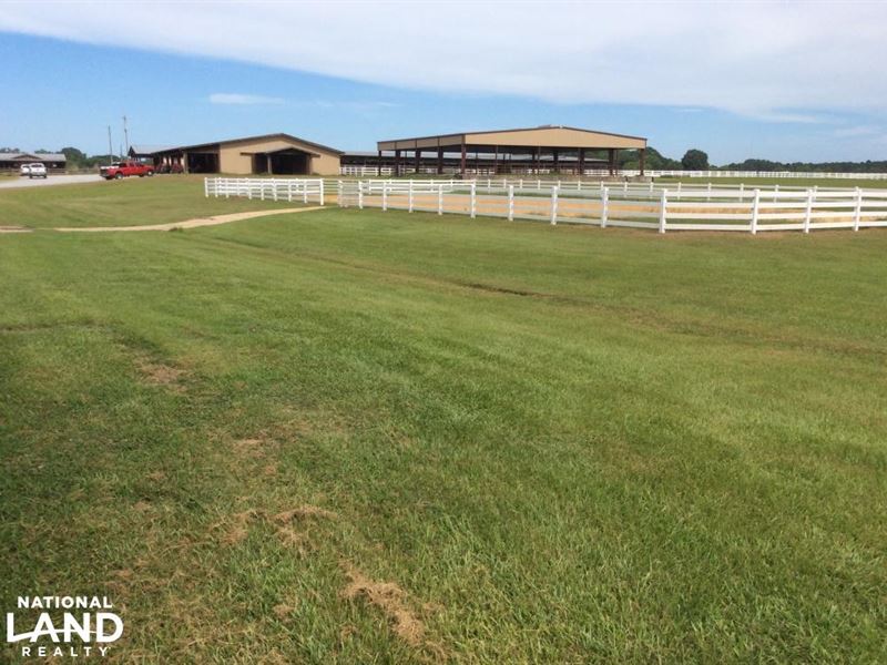 Heck Yea, Quarter Horse Farm : Terry : Hinds County : Mississippi