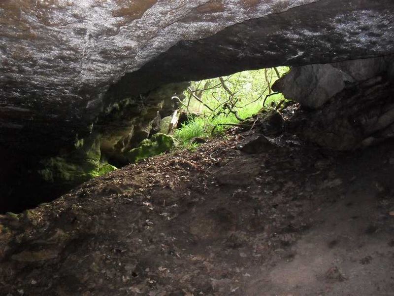 40 Ozark Acres with Large Cave : Elkton : Hickory County : Missouri