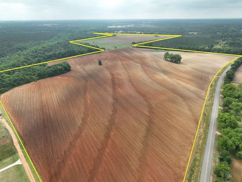 135 Acres Houston County : Dothan : Houston County : Alabama